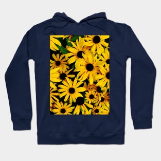 Field of Black-Eyed Susans Hoodie